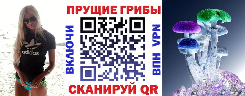 Галлюциногенные грибы Magic Shrooms  Порхов 