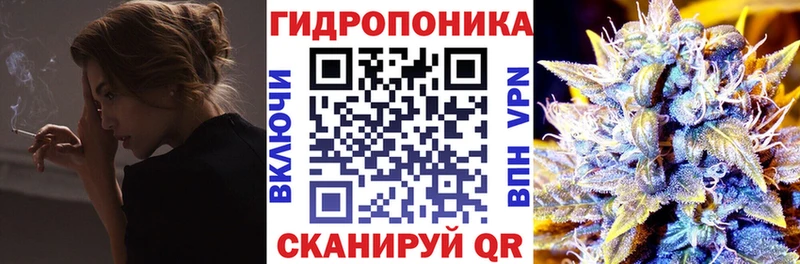 Бошки Шишки SATIVA & INDICA  наркота  Порхов 